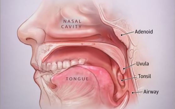 Khuôn mặt tròn và những điều bạn cần biết