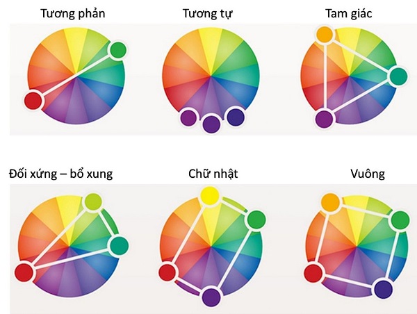 Nguyên tắc phối màu quần áo nam cơ bản bạn cần nắm