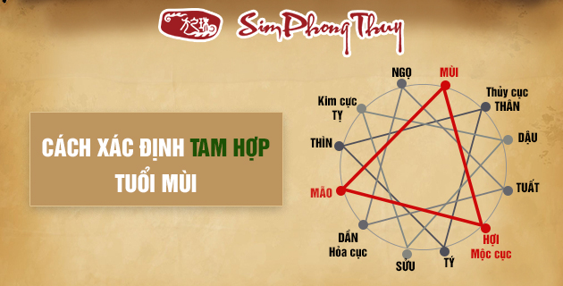 Tuổi mùi 1991 hợp với tuổi nào?