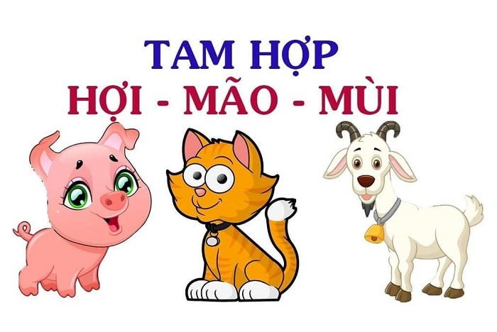 Tam hợp, tứ hành xung là gì? Đặc trưng nhóm tam hợp 12 con giáp