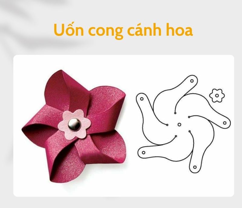 Hướng dẫn cách cắt bông hoa 5 cánh đơn giản tại nhà