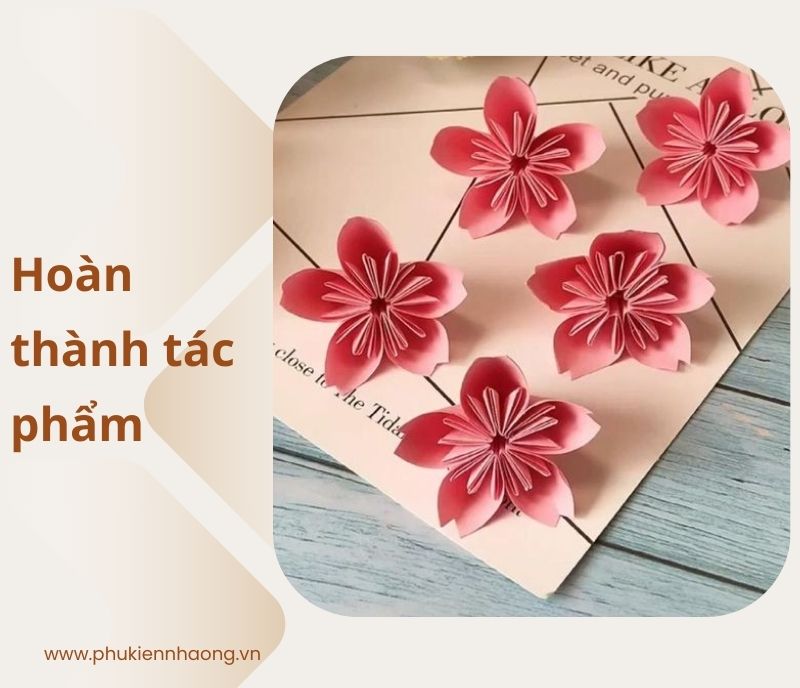 Hướng dẫn cách cắt bông hoa 5 cánh đơn giản tại nhà