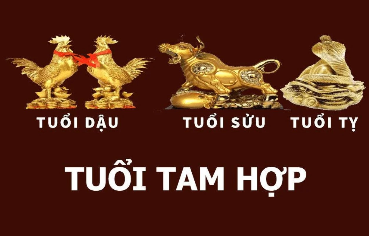 Tam hợp, tứ hành xung là gì? Đặc trưng nhóm tam hợp 12 con giáp