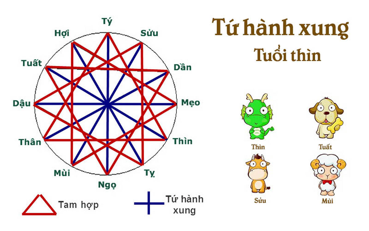 Tam hợp, tứ hành xung là gì? Đặc trưng nhóm tam hợp 12 con giáp