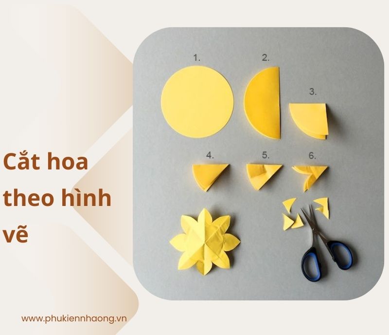 Hướng dẫn cách cắt bông hoa 5 cánh đơn giản tại nhà