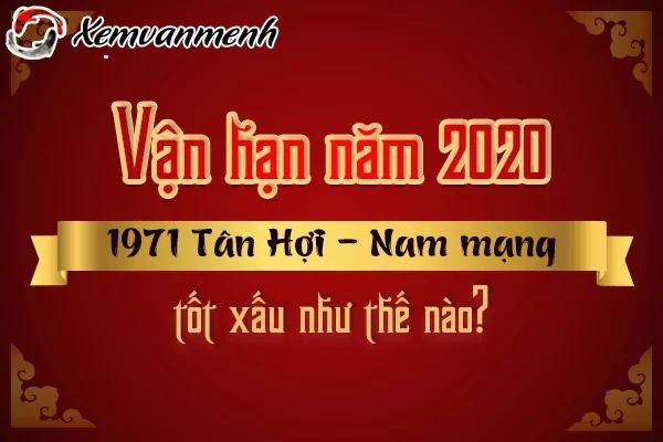 Xem tử vi năm 2020 tuổi Tân Hợi 1971 nam mạng