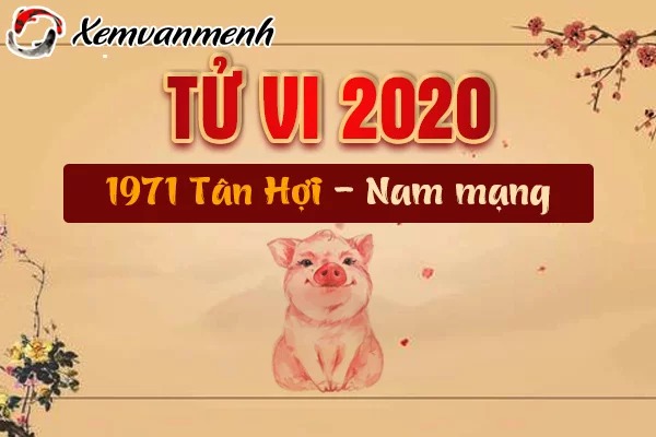 Xem tử vi năm 2020 tuổi Tân Hợi 1971 nam mạng