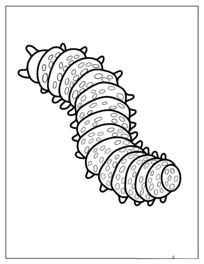 Tải miễn phí 99+ hình tranh tô màu con sâu cho bé sáng tạo