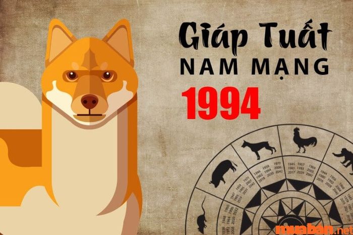 Tử Vi Giáp Tuất 1994 Năm 2024 Nam Mạng: Gặp Phạm Thái Tuế