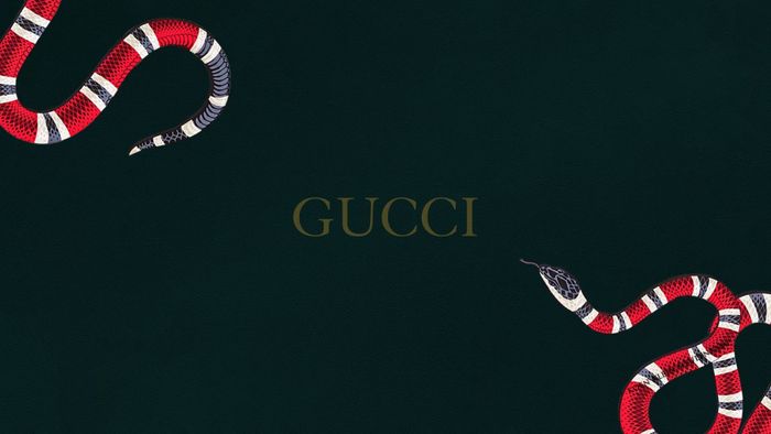 Hình ảnh đẹp của Gucci, hình nền tuyệt vời