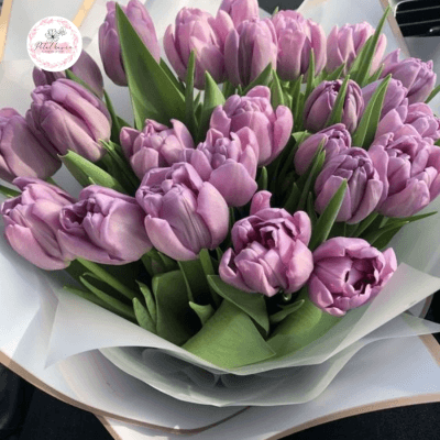 Hoa Tulip Có Ý Nghĩa Gì Trong Tình Yêu? Khám phá 6 Bí Ẩn Của Hoa Tulip