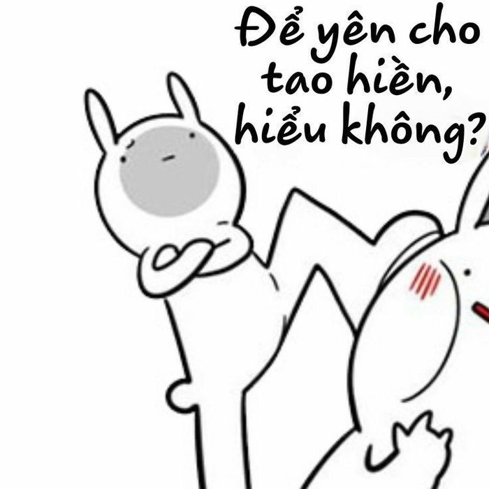 Tổng kết bộ sưu tập meme tát hài hước để thức tỉnh