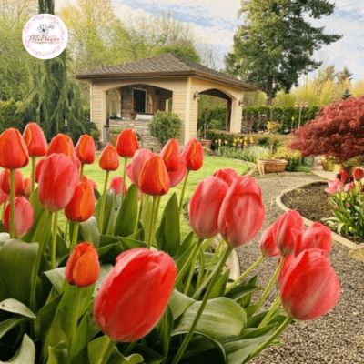 Hoa Tulip Có Ý Nghĩa Gì Trong Tình Yêu? Khám phá 6 Bí Ẩn Của Hoa Tulip