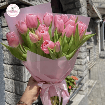 Hoa Tulip Có Ý Nghĩa Gì Trong Tình Yêu? Khám phá 6 Bí Ẩn Của Hoa Tulip