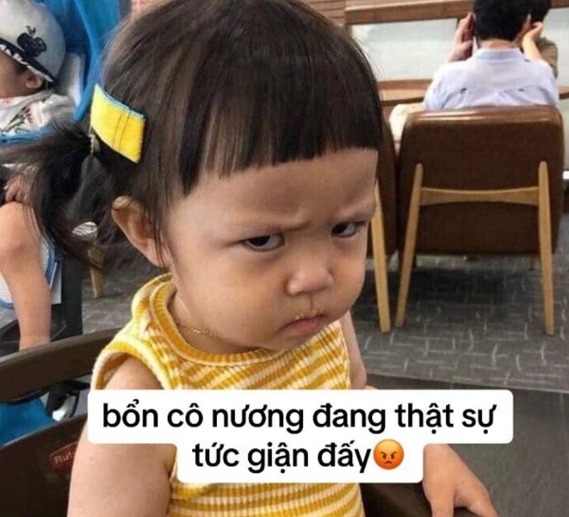 Cập nhật 80+ meme tức giận hung dữ, cute, dễ thương