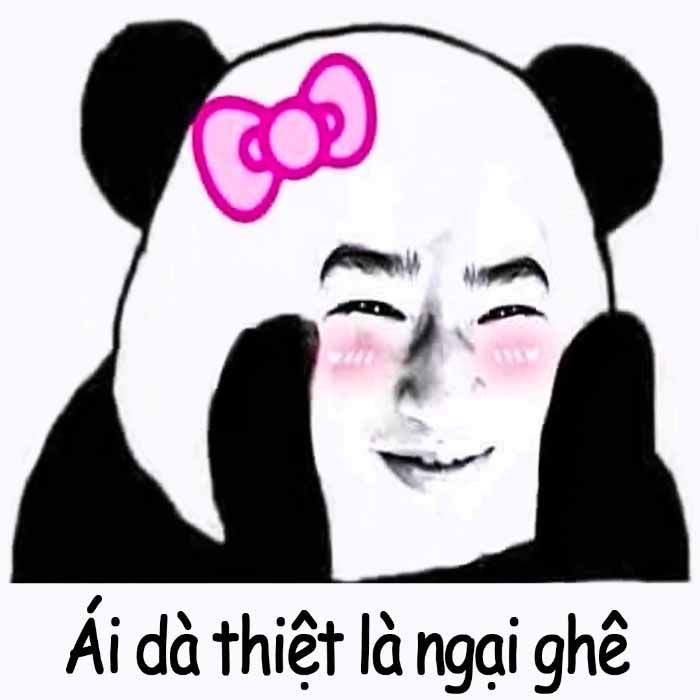 Bộ Meme Trung Quốc: Cuộc phiêu lưu hài hước và độc đáo