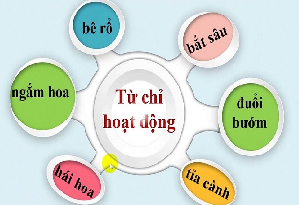 Phân biệt Từ chỉ sự vật; Từ chỉ đặc điểm; Từ chỉ hoạt động, trạng thái