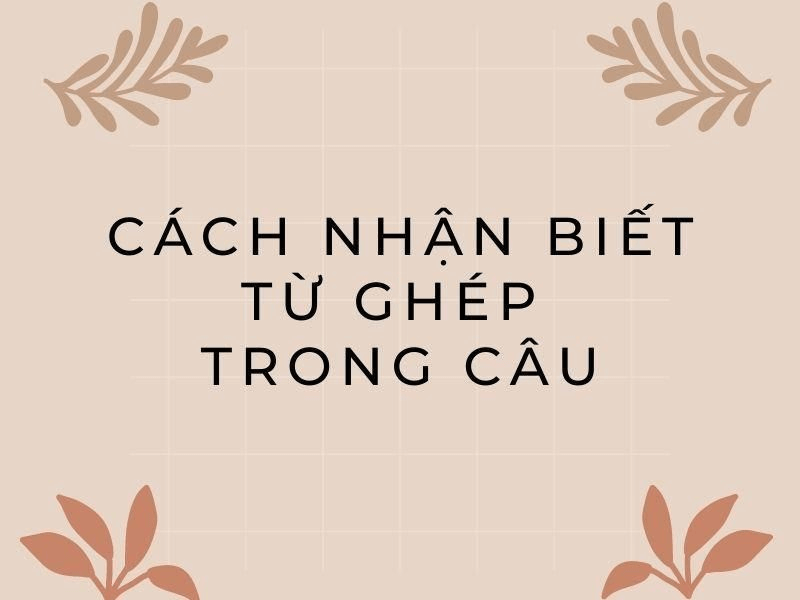 Từ ghép là gì? Định nghĩa, công dụng, phân loại và bài tập (có đáp án)