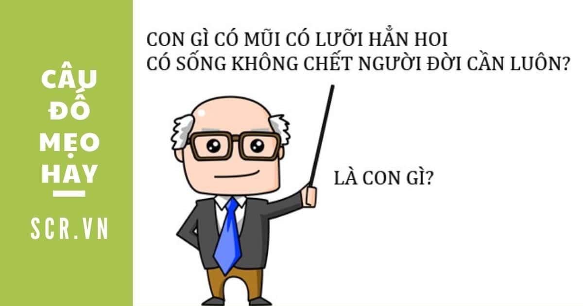 Những Câu Đố Vui Hại Não Ngắn Có Đáp Án