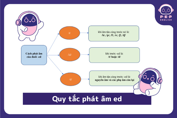 Tất tần tật về phát âm ed: Quy tắc chuẩn và cách nhớ mẹo