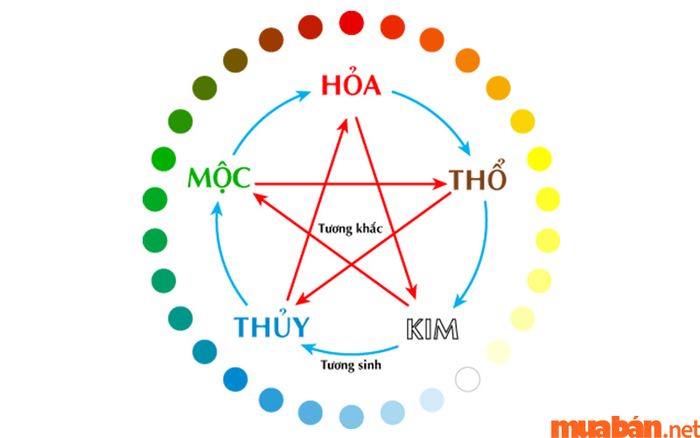 Cây lưỡi mèo hợp mệnh nào? Ý nghĩa phong thủy và cách chăm sóc đúng