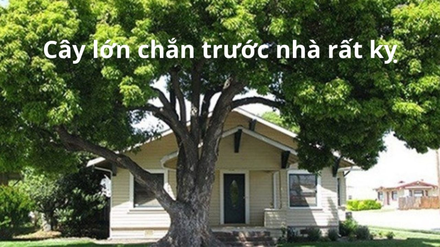 6 thứ nằm trước cửa nhà chắn lối Thần Tài, lộc lá rò rỉ, dọn ngay không nghèo mạt kiếp