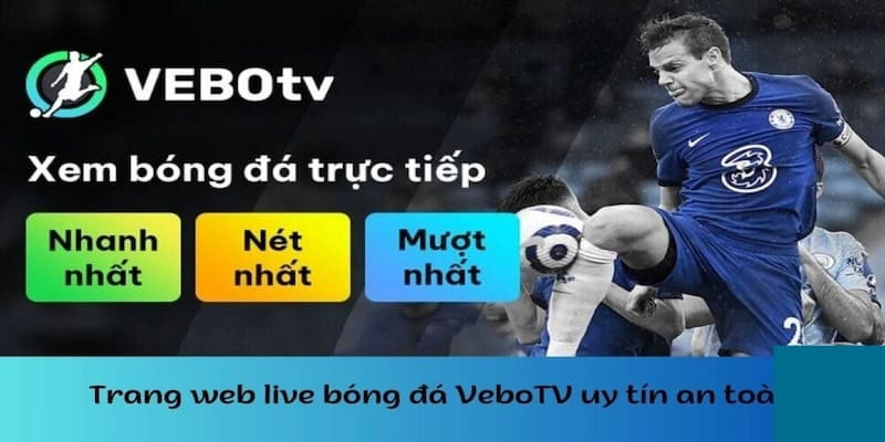 vebo-tv-la-su-lua-chon-hang-dau-cua-nhieu-khan-gia-1734437991.jpg