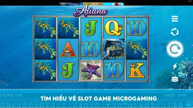 tim-hieu-ve-slot-game-microgaming-1736945987.jpg